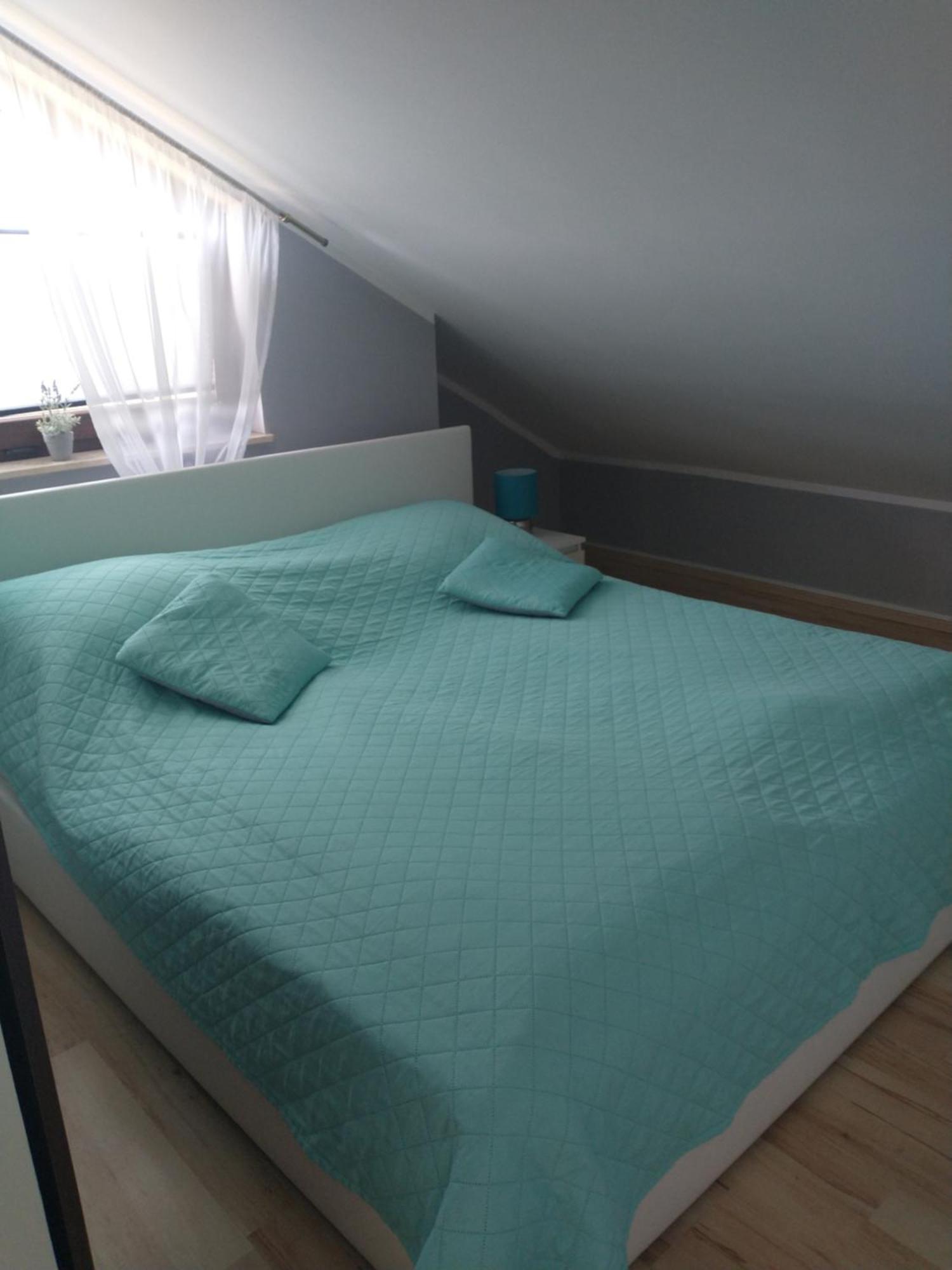 Limonka Apartment Wladyslawowo